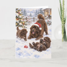 Tarjeta de Newf marrón y cachorros jugando en la n
