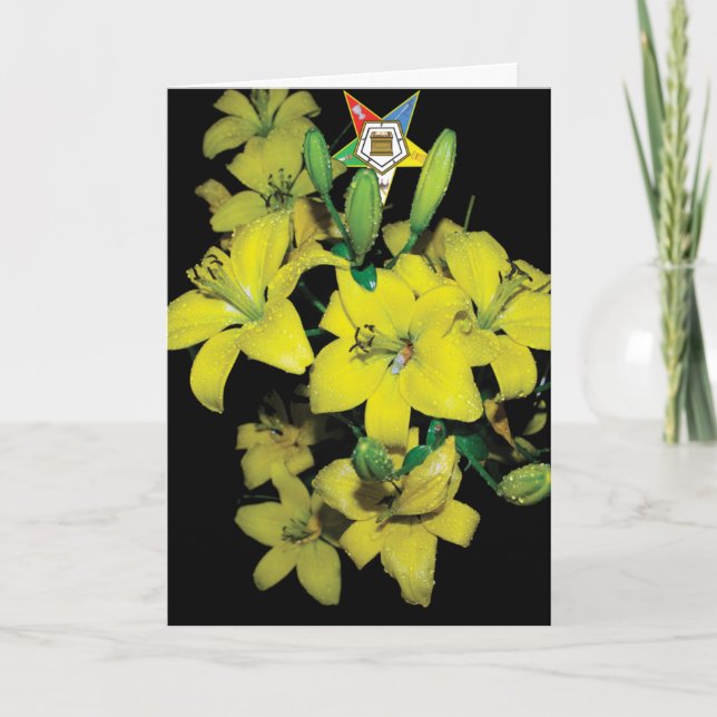 Festiva Tarjeta de OES (Anverso)