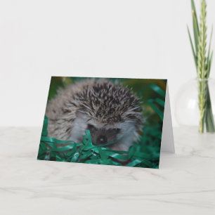 Festiva Tarjeta de Pascua