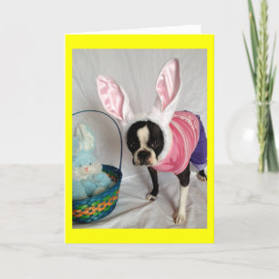 Festiva Tarjeta de Pascua con conejo Boston Terrier