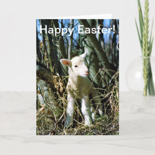Festiva Tarjeta de Pascua - Cordero