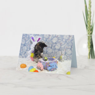 Festiva Tarjeta de Pascua de Bandit - Foto de gato/gatito