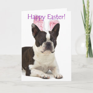 Festiva Tarjeta de Pascua de Boston Terrier linda