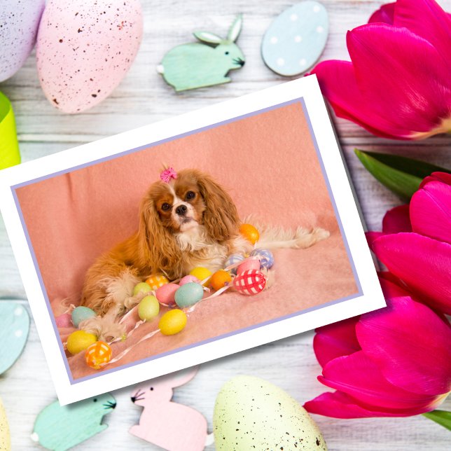 Festiva Tarjeta de Pascua de cachorro de spaniel Cavalier  (Subido por el creador)