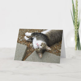 Festiva Tarjeta de Pascua de Gato de Pata boca abajo