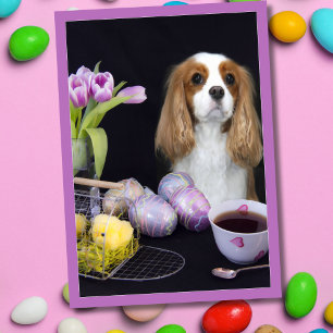 Festiva Tarjeta de Pascua del Cavalier King Charles Tulipa