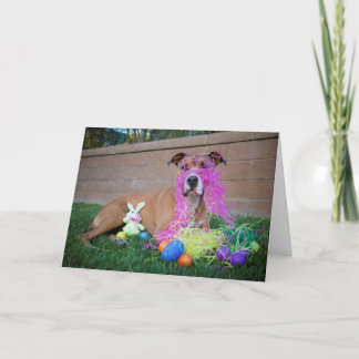 Festiva Tarjeta de pascua del perro