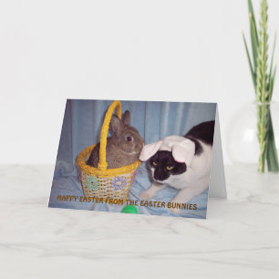 FESTIVA TARJETA DE PASCUA DIVERTIDA