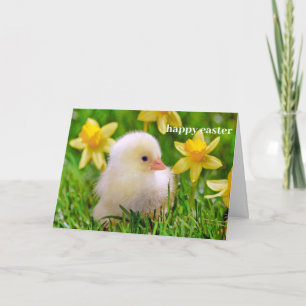 Festiva Tarjeta de Pascua - Duckling in a Field Daffodils