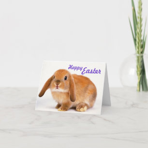Festiva Tarjeta de pascua dulce con el conejito