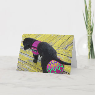 Festiva Tarjeta de Pascua para Azar Huevos