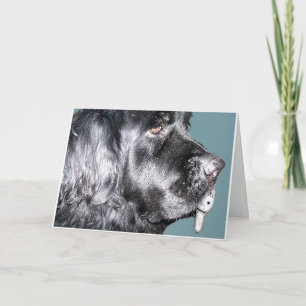 Festiva Tarjeta de pascua, perro de Terranova