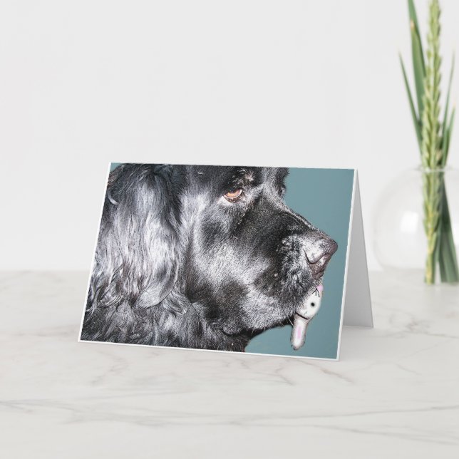Festiva Tarjeta de pascua, perro de Terranova (Anverso)