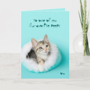 Festiva Tarjeta de pascua preferida del gatito del pío