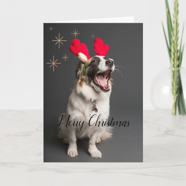 Festiva Tarjeta de "Paws & Joy: Adorable Dog Merry Christm (Anverso)