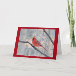Festiva Tarjeta de perfil de cardenal rojo