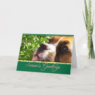 Festiva Tarjeta de perro Boxer de saludos de temporada