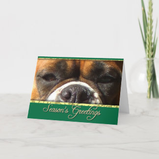 Festiva Tarjeta de perro Boxer de saludos de temporada
