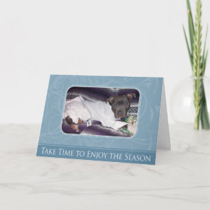 Festiva Tarjeta de Pitbull del día de fiesta