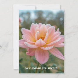 Festiva Tarjeta de primavera