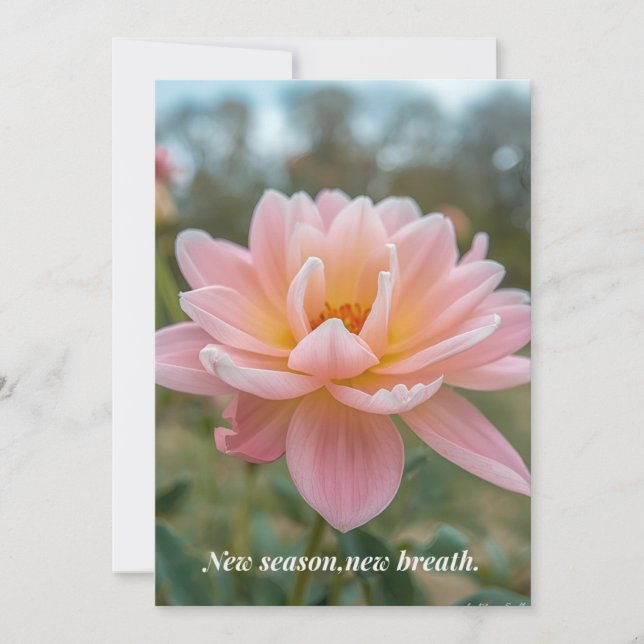 Festiva Tarjeta de primavera (Anverso)