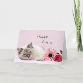 Festiva Tarjeta de Ragdoll pascua