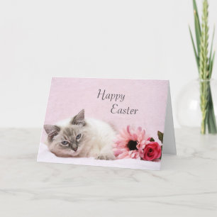 Festiva Tarjeta de Ragdoll pascua