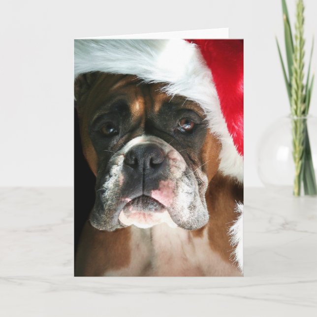 Festiva Tarjeta de saludo Boxer Dog para navidades (Anverso)