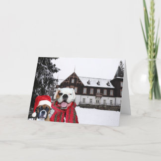 Festiva Tarjeta de saludo Boxer Dogs para navidades