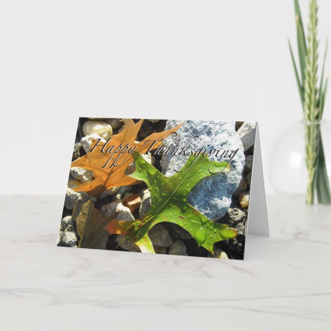 Festiva Tarjeta de saludo de Acción de Gracias (Anverso)