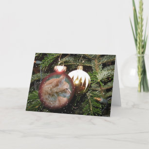 Festiva Tarjeta de saludo de bolas para gatos de Tabby Cat