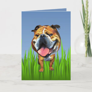 Festiva Tarjeta de saludo de Bulldog Cute