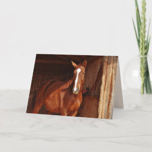 Festiva tarjeta de saludo de caballo de granero