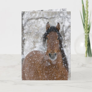 Festiva Tarjeta de saludo de caballo Stallion Snow