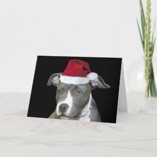 Festiva tarjeta de saludo de cachorro de pitbull azul para
