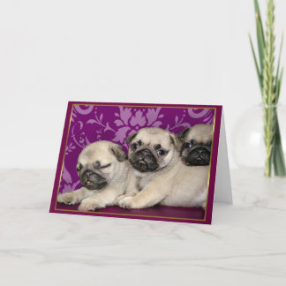 Festiva Tarjeta de saludo de cachorros de pug
