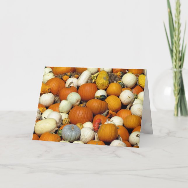 Festiva Tarjeta de saludo de calabaza (Anverso)