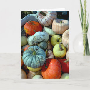 Festiva Tarjeta de saludo de calabazas coloridas