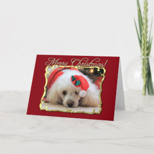 Festiva Tarjeta de saludo de cangrejo para Navidades