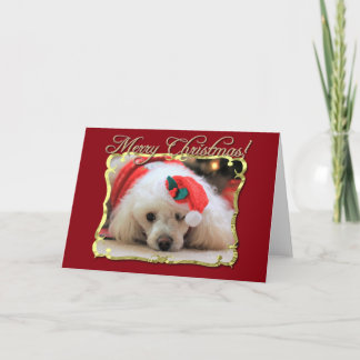 Festiva Tarjeta de saludo de cangrejo para Navidades