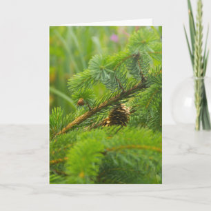 Festiva Tarjeta de saludo de cono de pino oculto