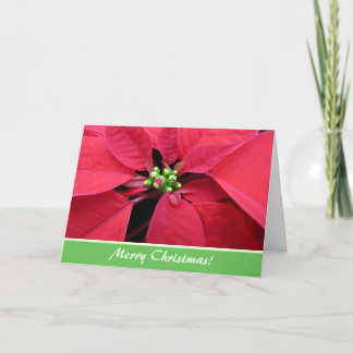 Festiva Tarjeta de saludo de los Navidades de Poinsettia R