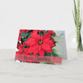 Festiva Tarjeta de saludo de los Navidades de Poinsettias