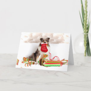 Festiva Tarjeta de saludo de los Navidades de Sheepdog de