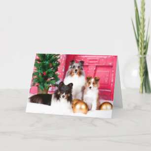 Festiva Tarjeta de saludo de los Navidades de Sheepdog de