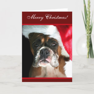 Festiva Tarjeta de saludo de Marzo Christmas Boxer Dog