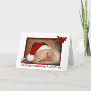 Festiva Tarjeta de saludo de Navidades Cat Santa Hat