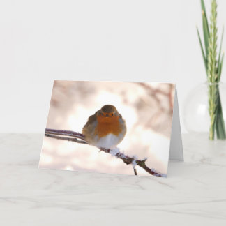 Festiva Tarjeta de saludo de navidades con Robin