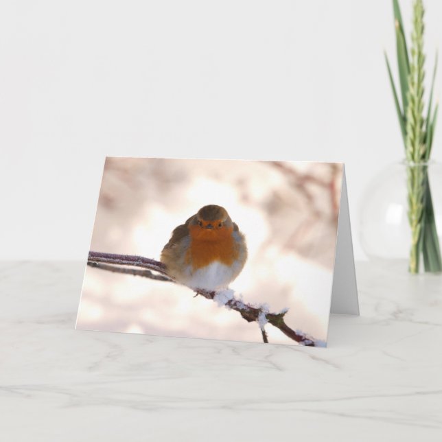 Festiva Tarjeta de saludo de navidades con Robin (Anverso)