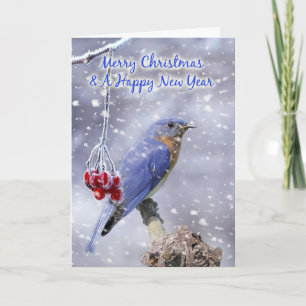 Festiva tarjeta de saludo de navidades de aves azules - pa